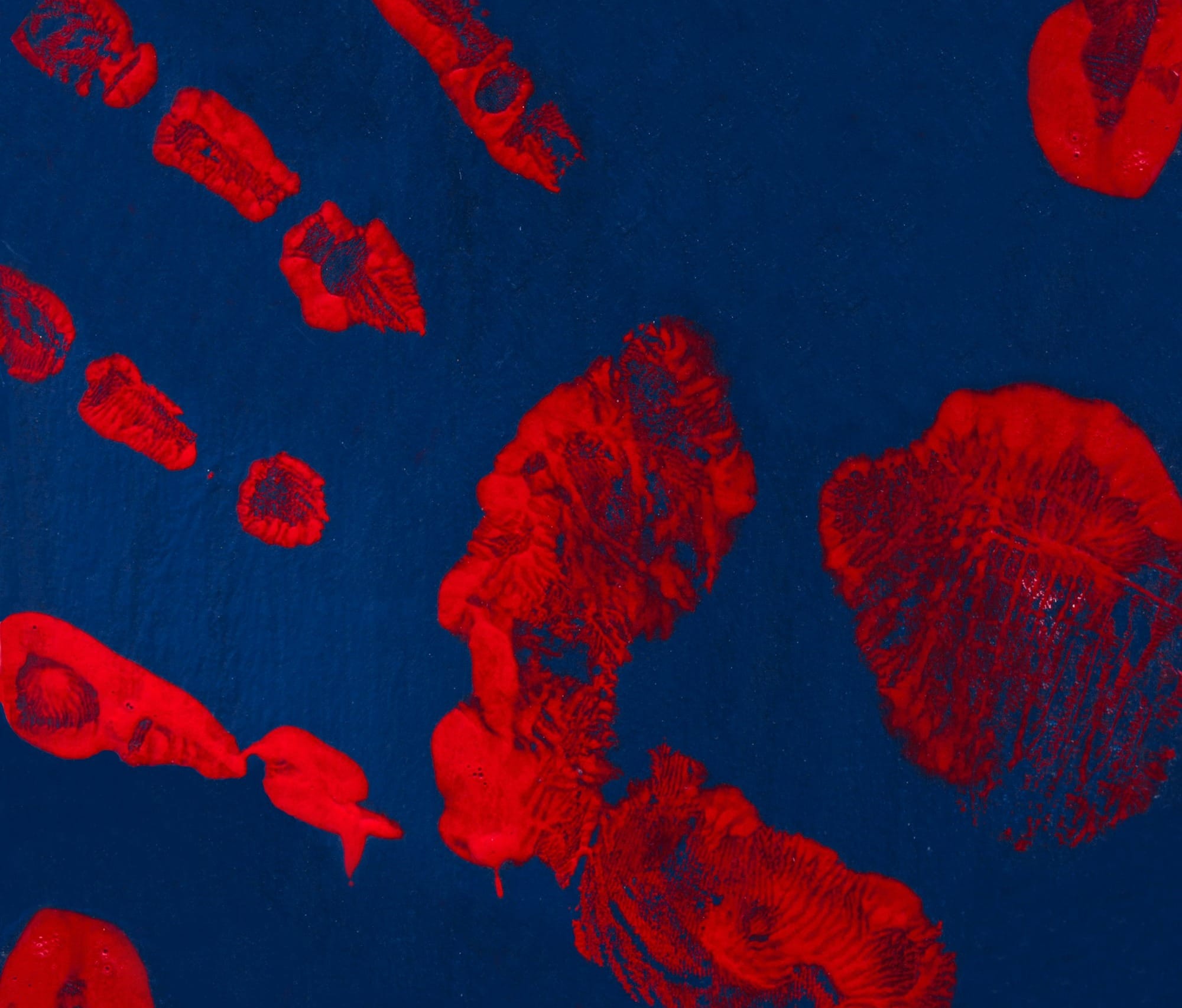 red and blue floral textile